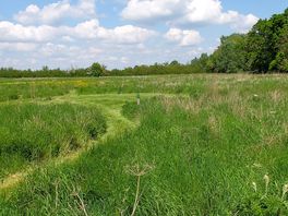 Large pitches in the lower meadow