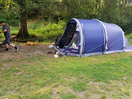 Our pitch