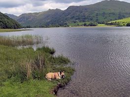 Brothers water