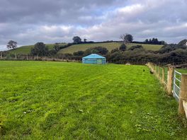 One of the two paddocks available to camp in.
