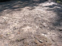 Dirt pitch