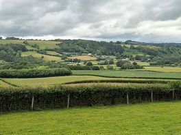 View of campsite on way into hay