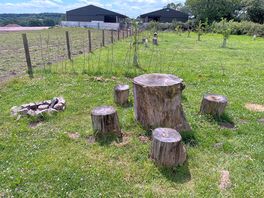 Fire pit and seating area