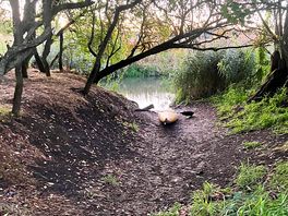 River