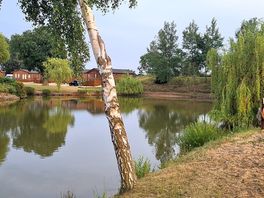 Fish pond