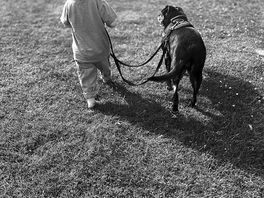 Great for young children and old dogs.