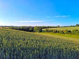 Looking back to our van on a walk round the field