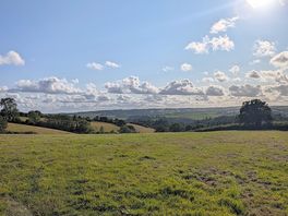 Views