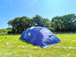 Spacious tent pitch