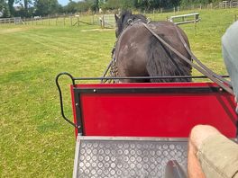 Hore and cart