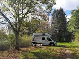Toller platz in der natur