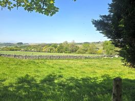 Surrounding views
