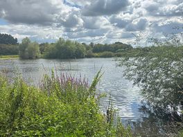 River trent