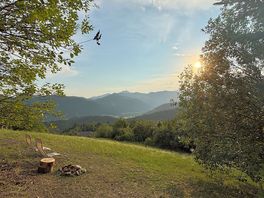 Vistas