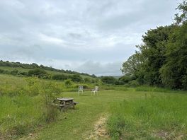 Spacious campsite