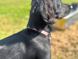 Olive enjoying her holiday