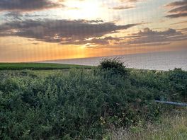 Sunset view from camper