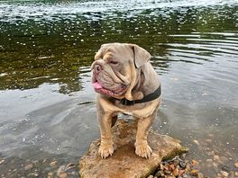 Dennis enjoying the river trent