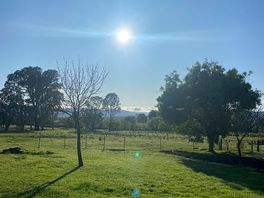 Morning view from tent