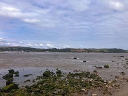 Low tide