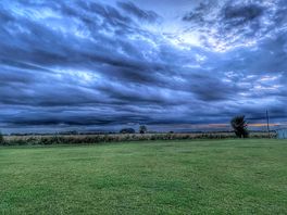 The paddocks