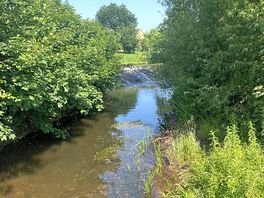 Nearby brook