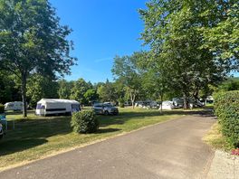 Pitches amongst the trees