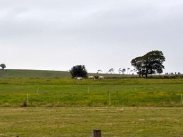 View across fields from campsite