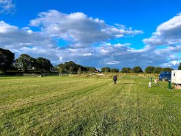 Walking the dog