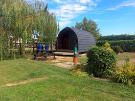 Log pod and picnic table