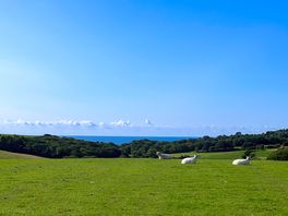 The view when walking down to the beach!
