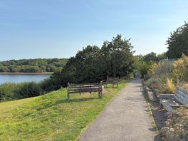 Cafe at the lake