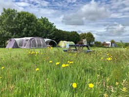 Electric grass pitches overlooking the play area