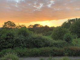 Beautiful sunset while waiting for the bats