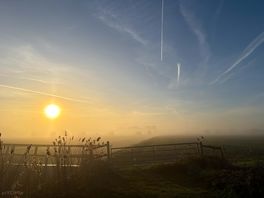 Morning walk