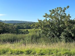Sussex views