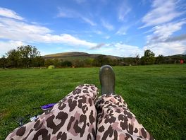 View from my chair