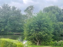 Our view from caravan