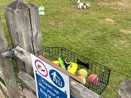 Secure dog off lead field