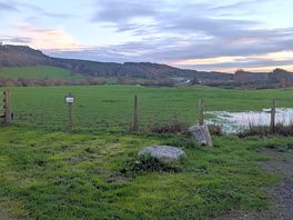 Walk out past ponds to forest