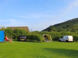 Views at the site