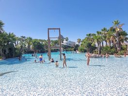 Piscine tropical