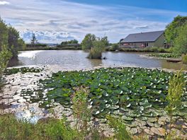 Lilly pond for fishing.