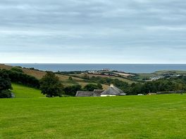 The view