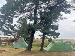 Our pitch