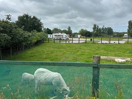 View across part of the site from the garden centre end