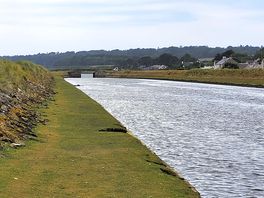River full of fish