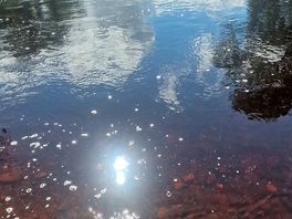 River eden
