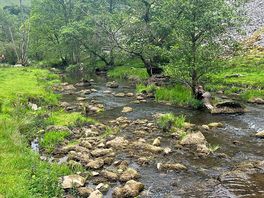 Beautiful walks nearby