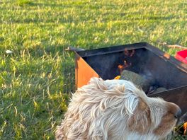 Harvey enjoying the fire and view